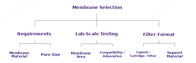 dddf2232-f7b8-4ff1-979f-01c6ada288b6.png