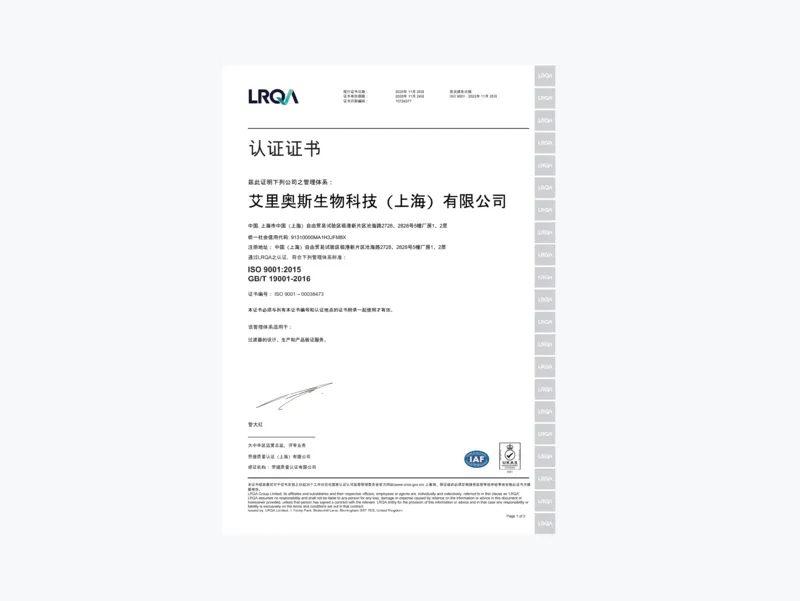ISO 9001 Quality Management System