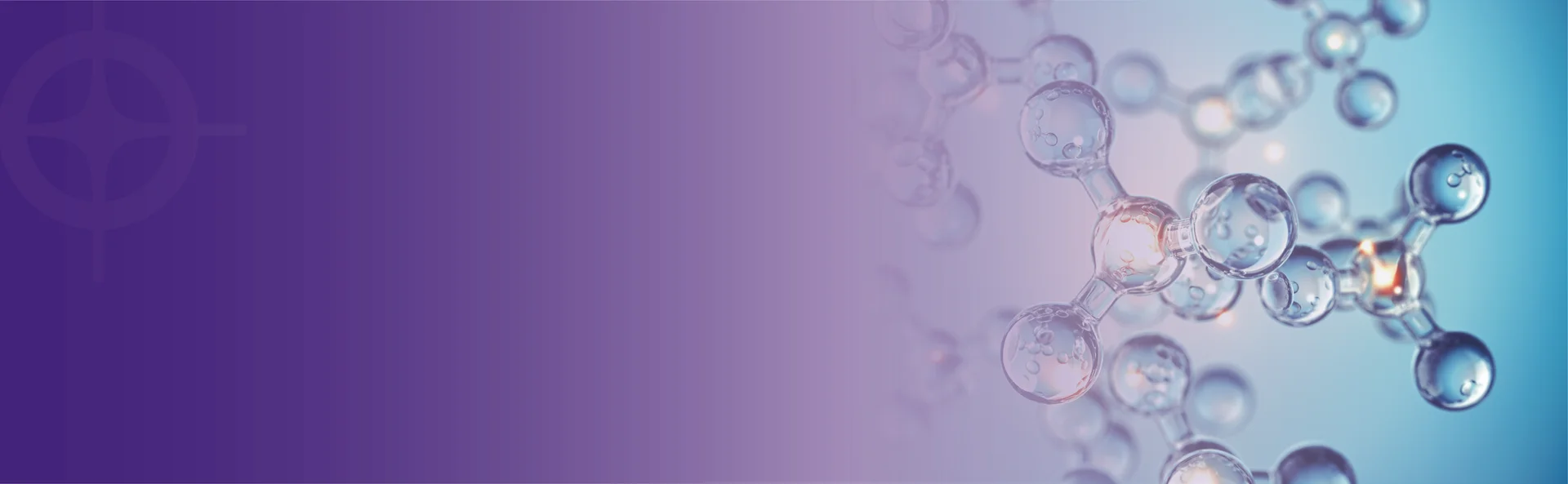 Small Molecule Drugs