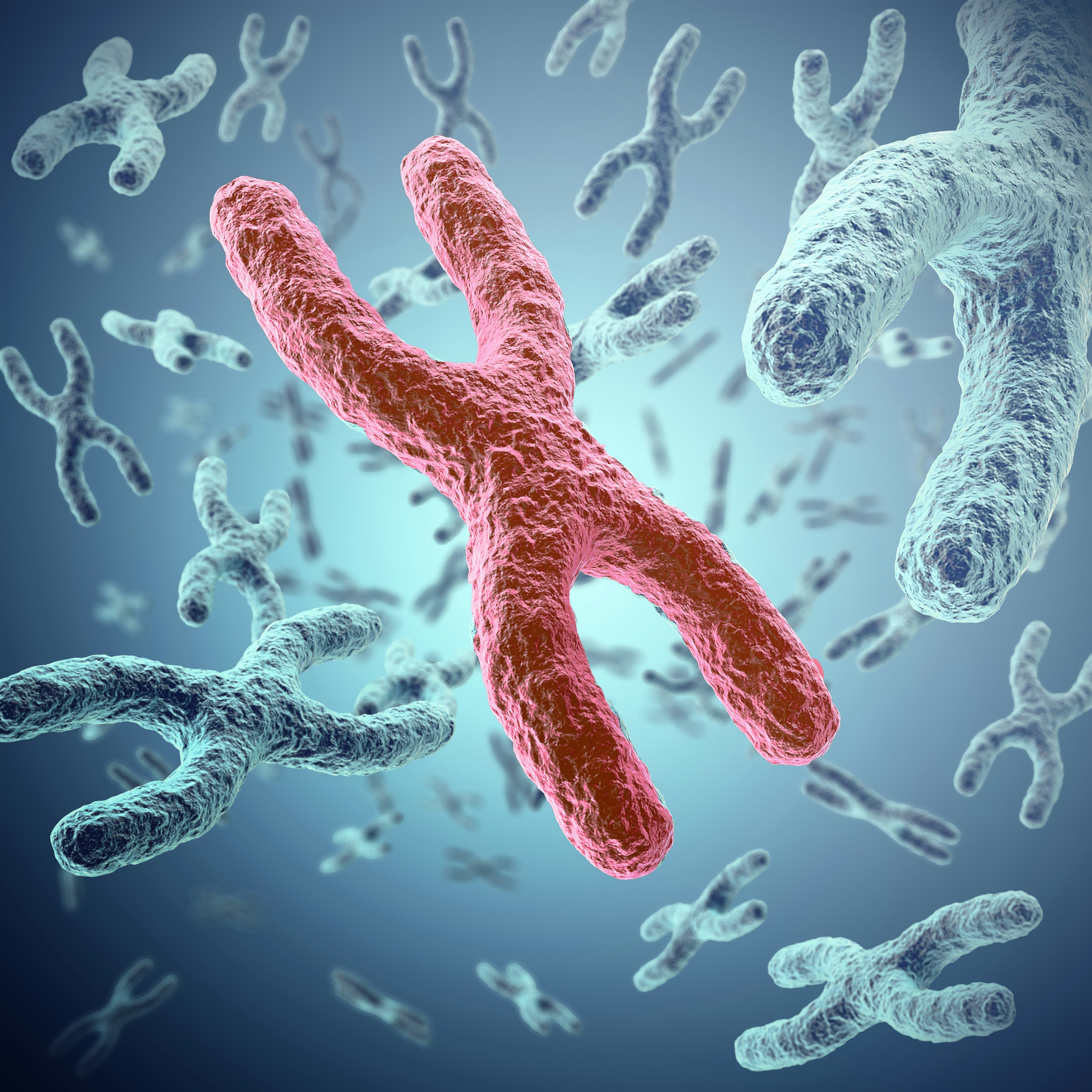 Antibodies & ADCs