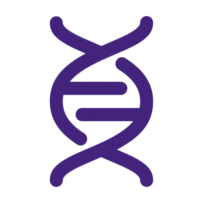 Plasmid Construction