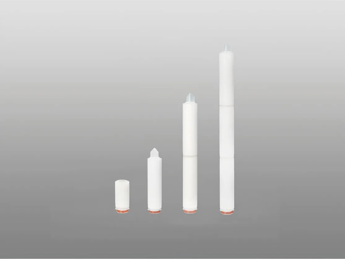 0.2 μm PES Cartridges Filter