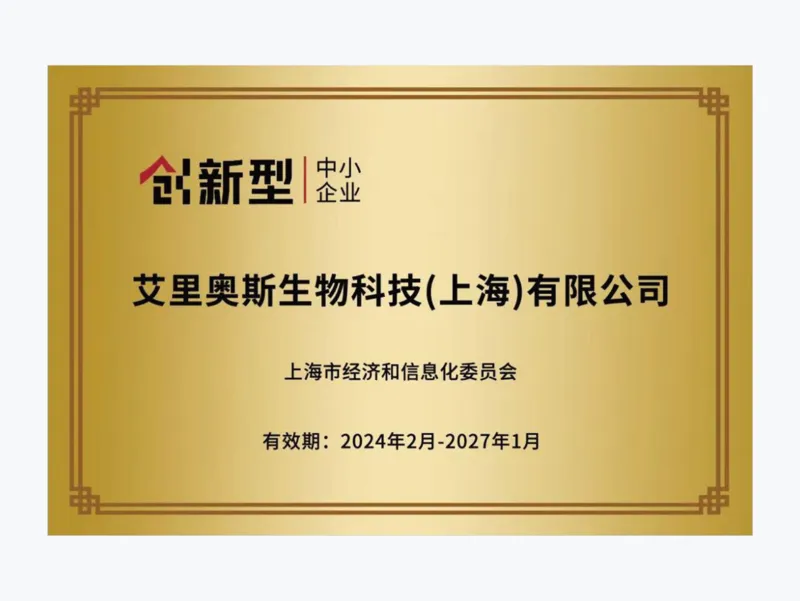 Shanghai Innovative SME