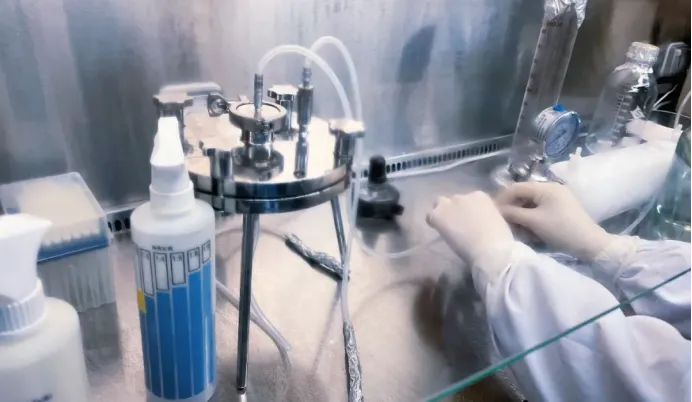 Practical Guidelines for Sterilizing Filtration with Disinfectants