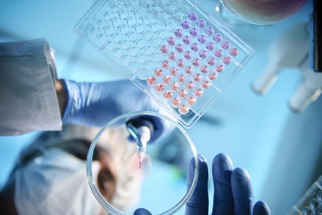 pharmaceutical manufacturing industry "wins", supply chain security into a "clear" worry